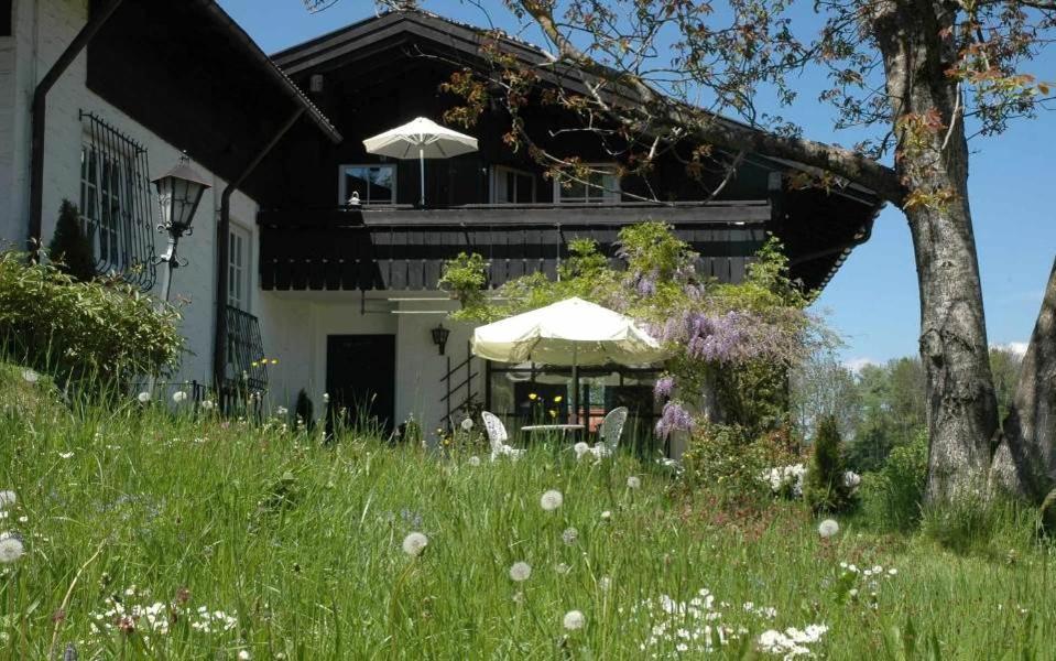 Ferienhaus Nest 布莱夏 外观 照片