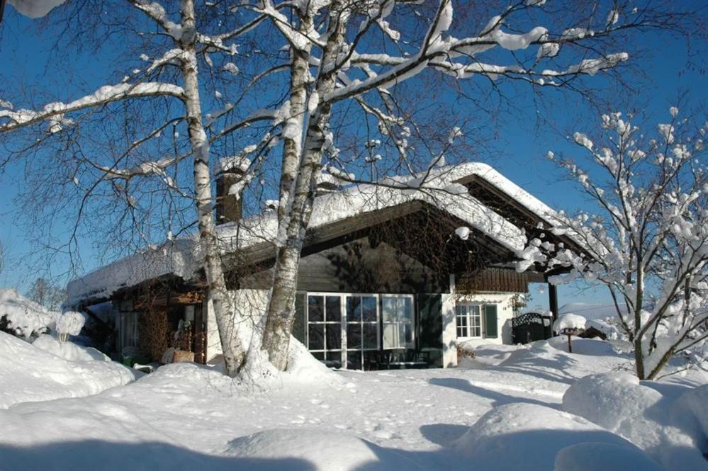 Ferienhaus Nest 布莱夏 外观 照片
