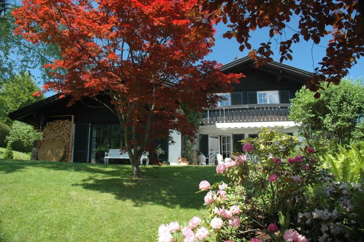 Ferienhaus Nest 布莱夏 外观 照片